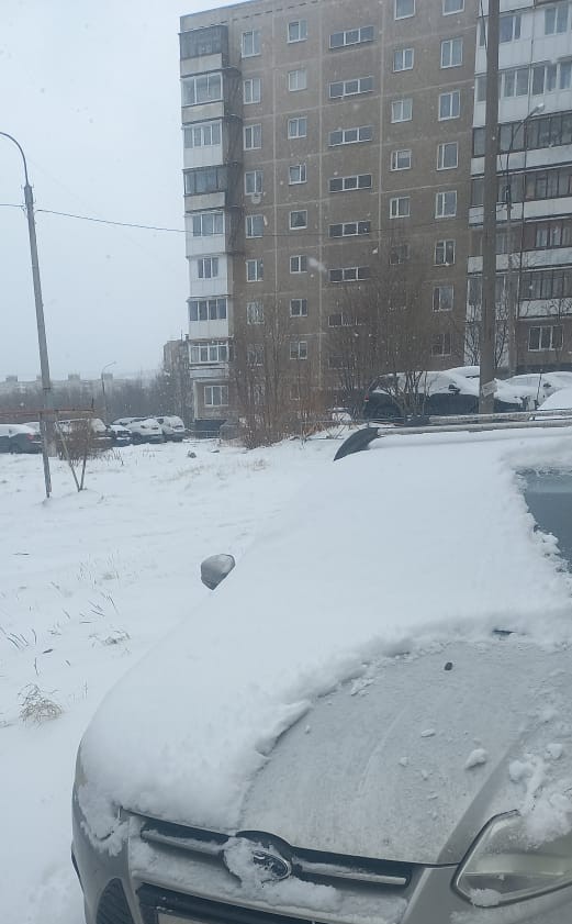 5 мая в Питере