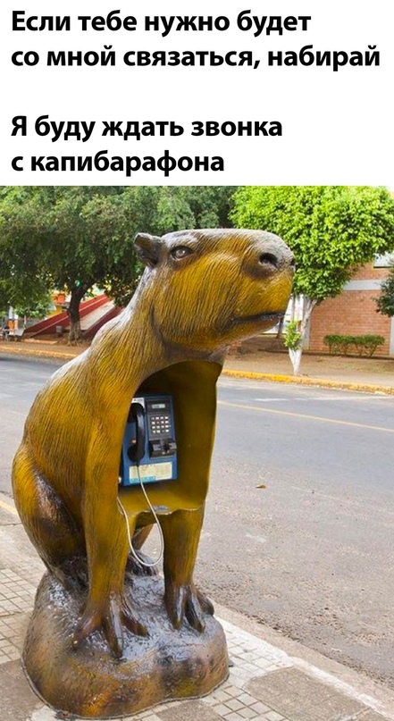 Картинки и мемы для настроения - 187