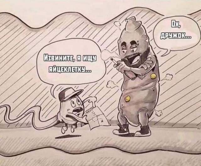 10 картинок