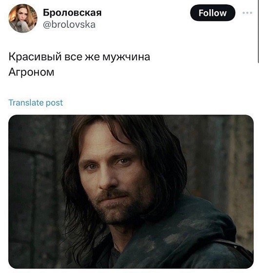 Показывайте кота!