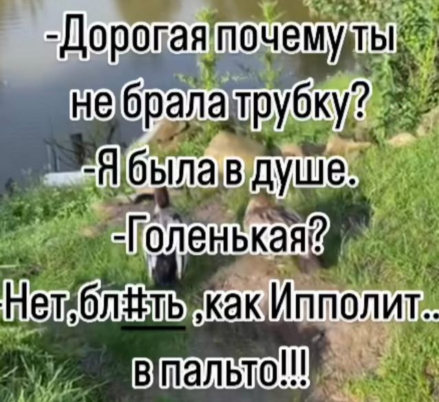 Завалялось тут случайно немного забавных картинок
