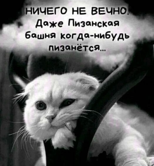 Так себе картинки 11.10.24