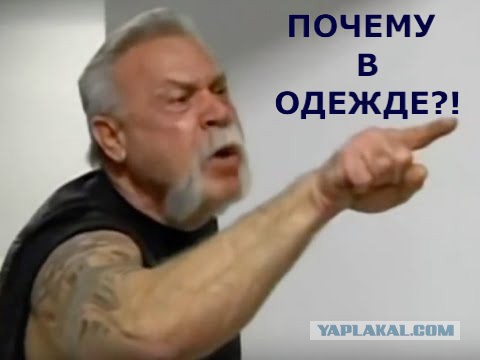 AVN Awards 2025 | Порно-Оскар 2025