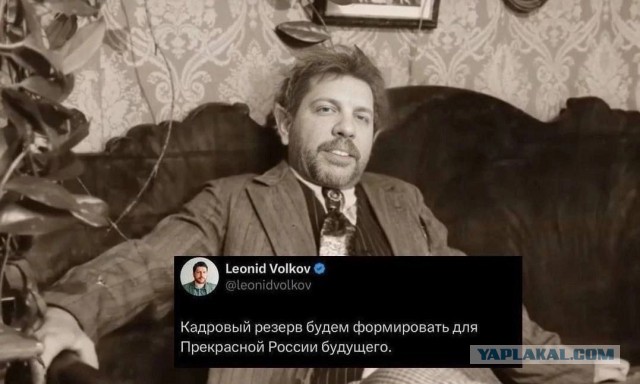 Прекрасная Россия будущего