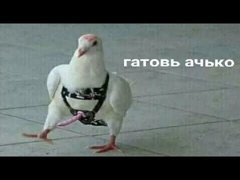 Ну почему снова не я?