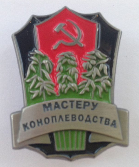 В Питере мужчина вырастил целую плантацию конопли прямо в квартире