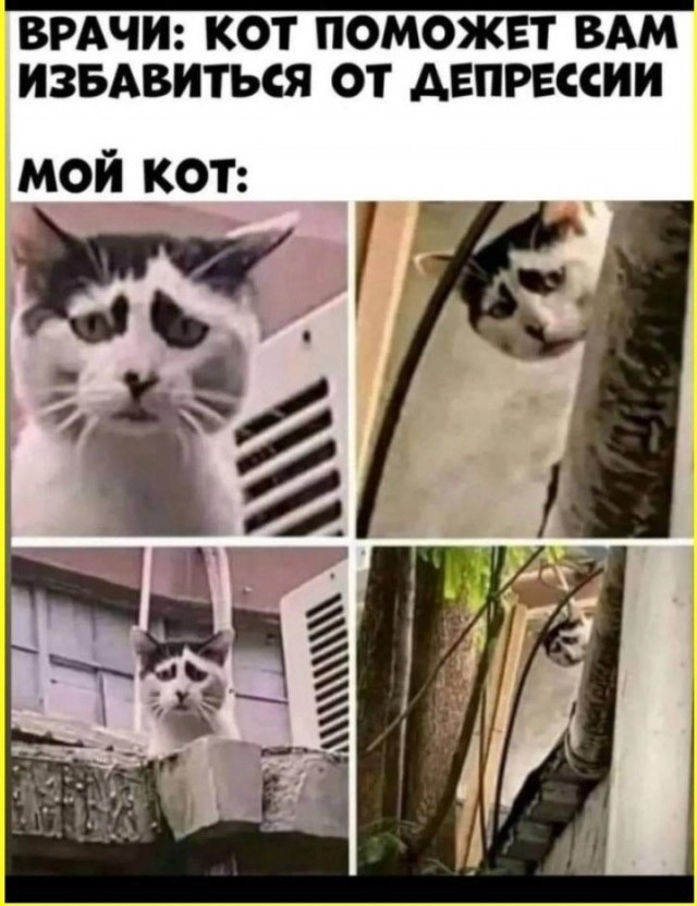 Среды картинки