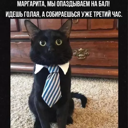 Картиночки, баянчики 05 февраля