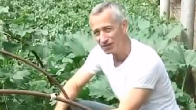 Он художник, он так видит