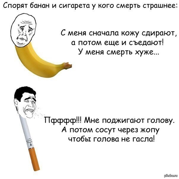 Торседор