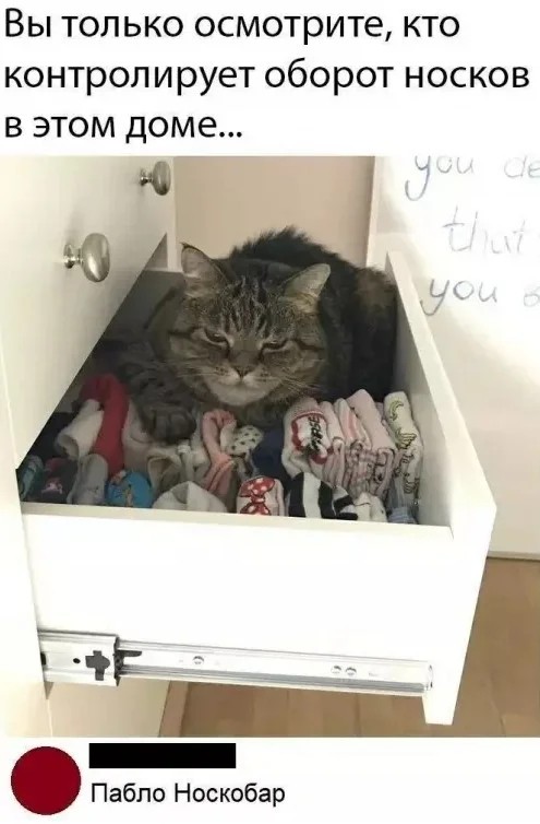 Картинки для деградации 192 (разной степени свежести)