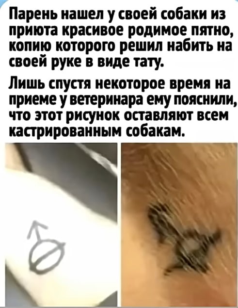 Картинки для деградации 202 (разной степени свежести)