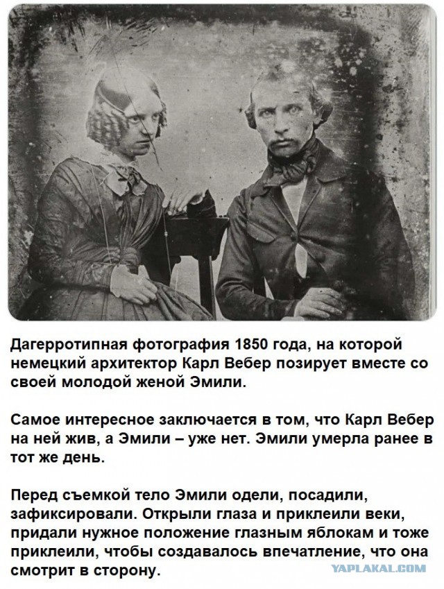 Картинки для деградации 226 (разной степени свежести)