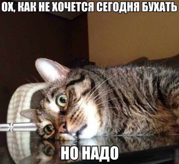 Сегодня отмечается Международный день пива