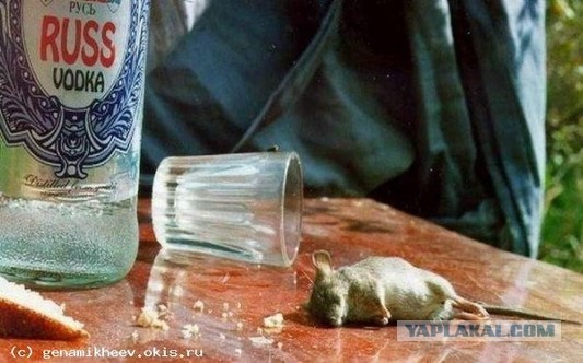Кусочек жизни ...
