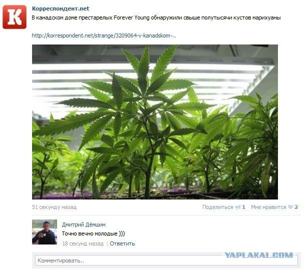 Смешные комментарии из социальных сетей