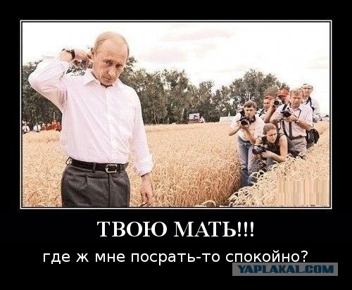 Смешные картинки и комментарии