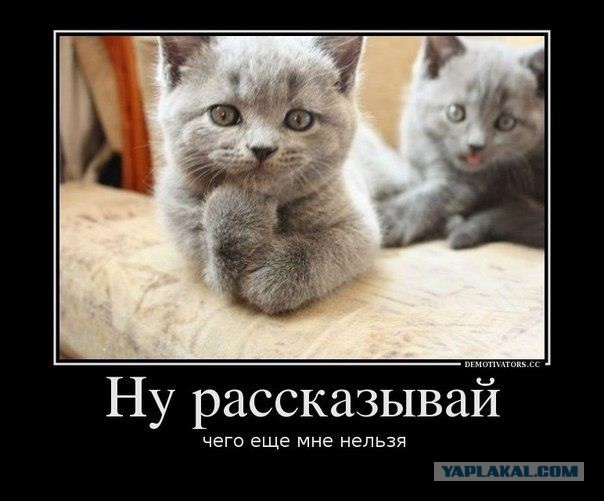 С миру по нитке. Демотиваторов чуть
