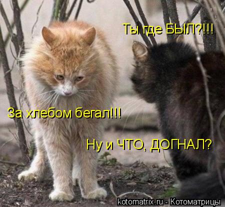 Чёрт, чёрт, чёрт!