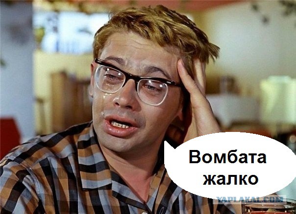 Спорим, вы не знали...
