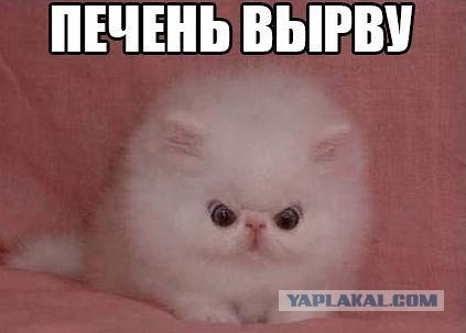 Веселые картинки.