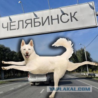 Пропала Собакаака