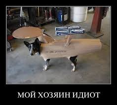 Маразмы месяца