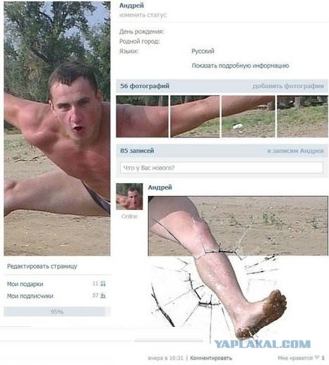 Забавные картинки