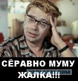 Волк и семеро ягнят