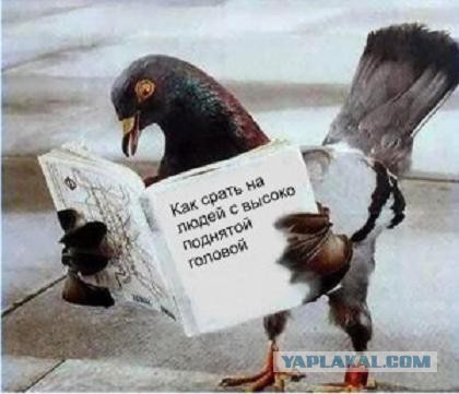 Шесть самых смертоносных