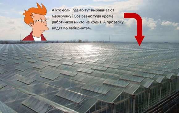 Крупный садовый и тепличный комплекс в Чечне