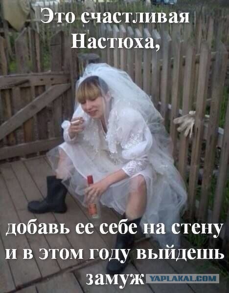 Подборка веселостей из сети