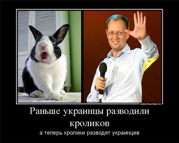 10 политических картинок часть 5
