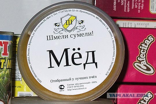 Медведев в интервью российским телеканалам