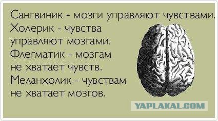 Разные картинки из сети