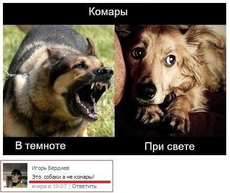 Картинки и демотиваторы