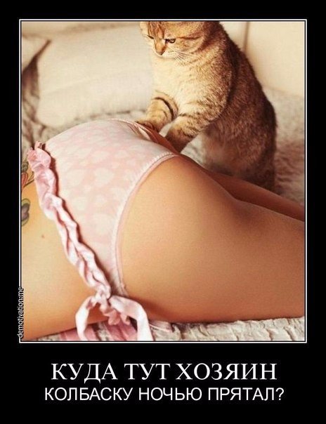 Картинки из ваших этих итернетов...