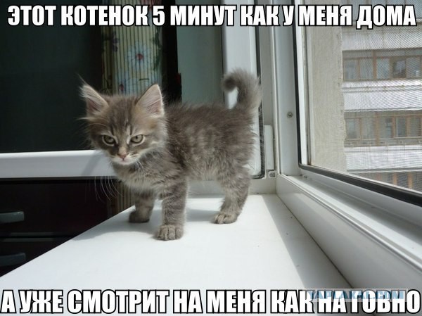 Смешные картинки