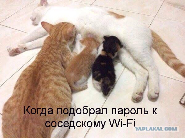Подборка интересных и веселых картинок