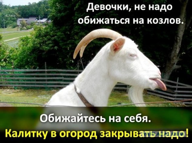 Подборка "баянов" со всего интернета