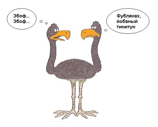 Фотожаба: Жизненный вопрос