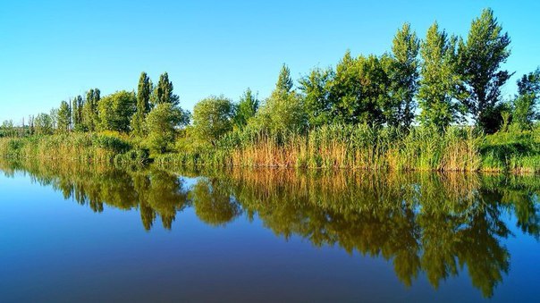 Картинки для отдыха глаз