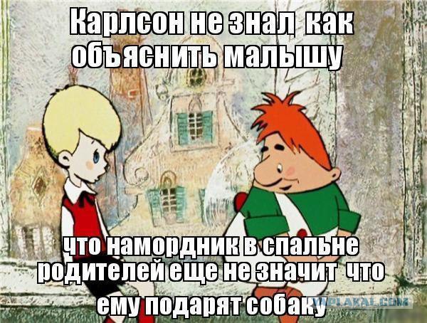 Порция картинок из сети