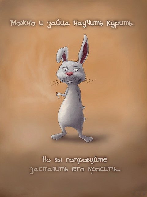 Юмор не для всех