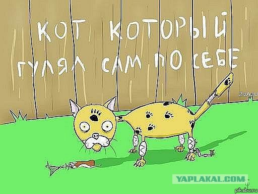 Пылесос? Пф-ф-ф...