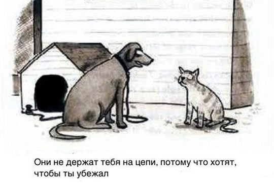 Всячина. Картинки и тексты картинками
