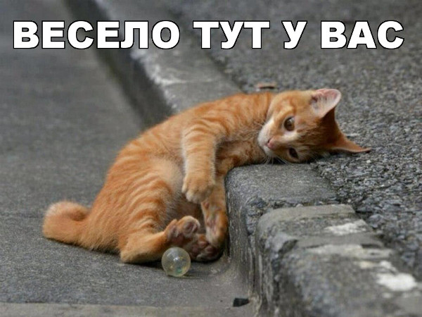 Странный альтернативный юмор