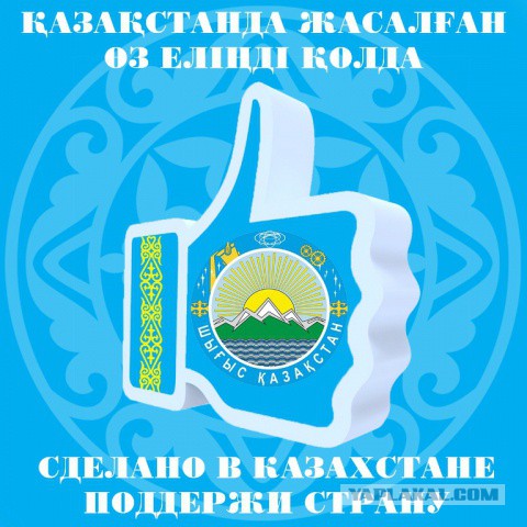Всем санкциям назло: что покупают русские в Финляндии