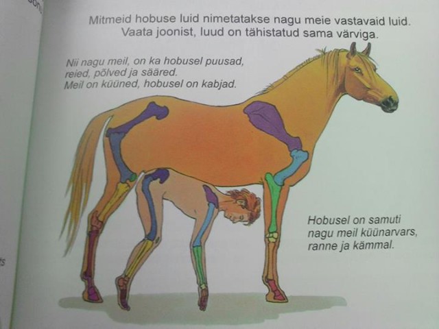Лёгкий тупёж подкрался незаметно