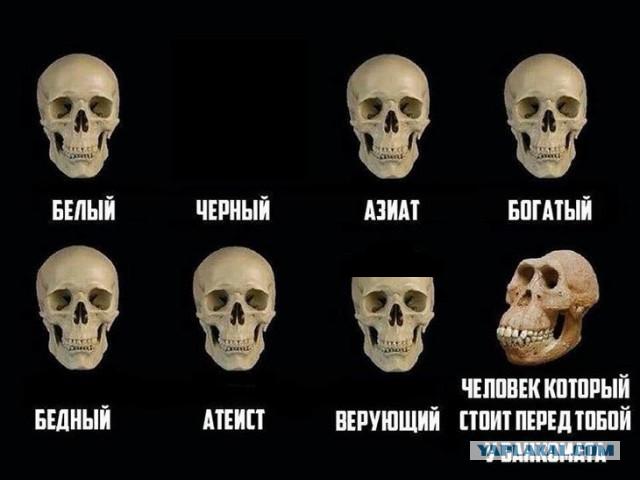 Журнал деградант